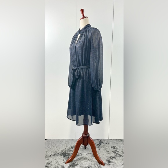 Banana Republic Navy Blue sheer dress with gold speckles - Picture 4 of 14